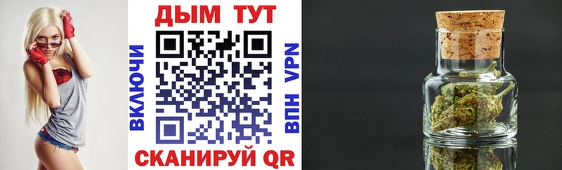 дарк нет официальный сайт  наркотики  Светлый  МАРИХУАНА индика 